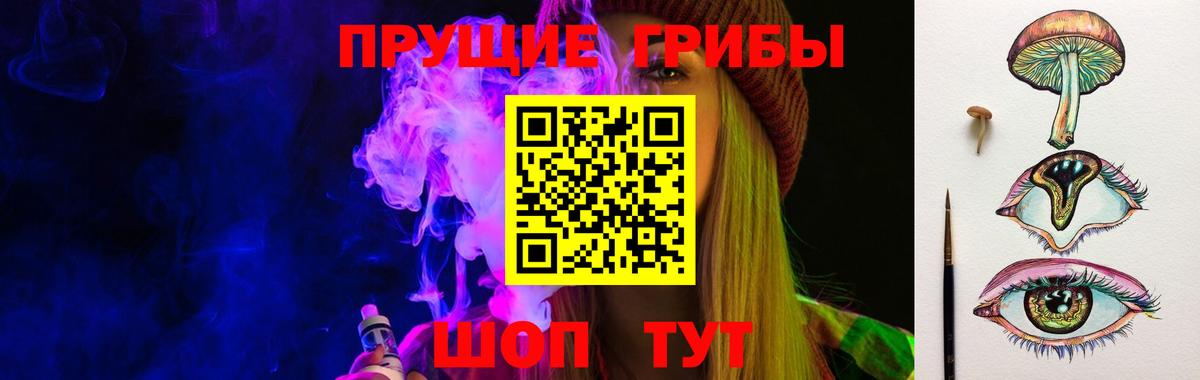 Псилоцибиновые грибы Cubensis  что такое   Кириши  Вход с VPN 